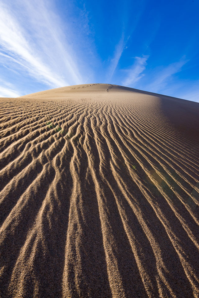 Mesquite-Sand-Dunes-3971_v1.jpg