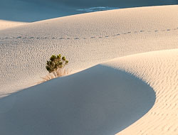 Death-Valley-8585_v1.jpg