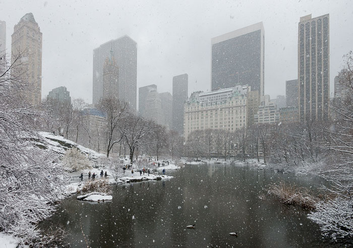 Central-Park-1763.jpg