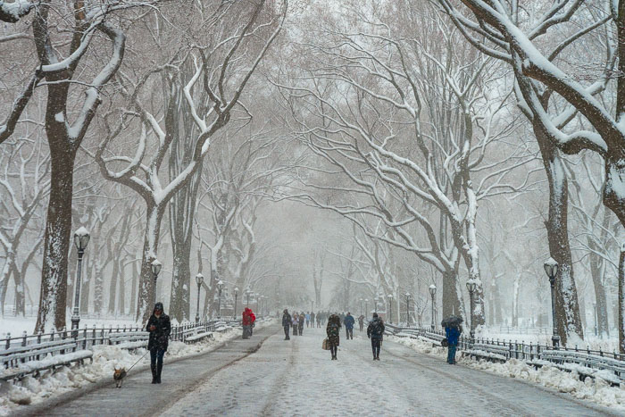 Central-Park-1810.jpg