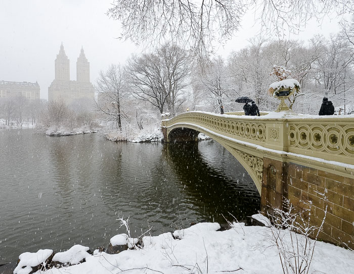 Central-Park-1888.jpg
