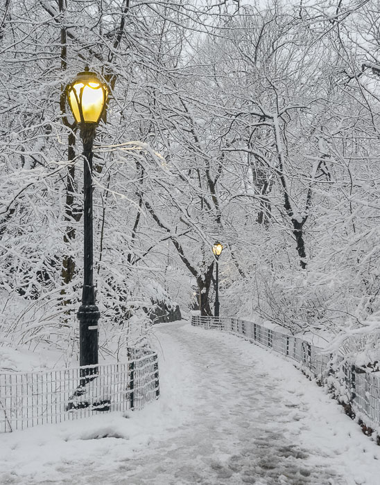 Central-Park-1949.jpg