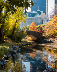 Central_Park_v1.jpg